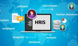 HRIS User Training