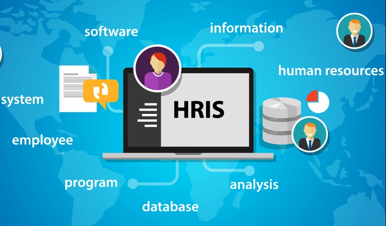 HRIS User Training